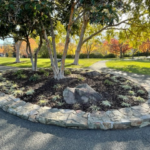 Landscaping with rocks, trees, and rock ring.